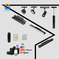 Système d'Éclairage Magnétique LED Modulaire DC24V 48V, Rail et Spots Magnétiques LED Montés en Surface