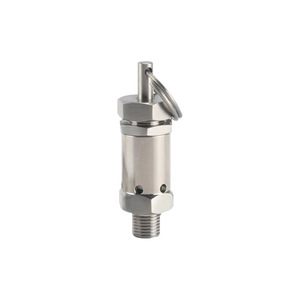 Válvula de seguridad de acero inoxidable con resorte, rosca NPT de 1/4, para alivio de presión de gas en bombas de aire y ollas a presión - Product Image 1