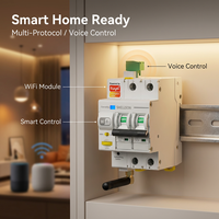 Disjoncteur intelligent Wi-Fi MCB industriel ou domestique 1P 2P 3P 4P 63A de Chine