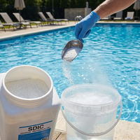 Granulés de chlore Rhonda 60% de pureté CAS 7681-52-9 pour piscine et spa
