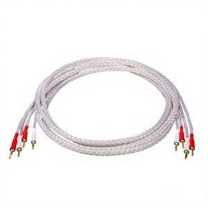 Cable de Altavoz de 8mm2 y 16 Núcleos para Cine en Casa, Bi-wired, Plateado, OFC 4N, con Conectores de Cobre Rojo Chapados en Oro, 8TC - Product Image 5