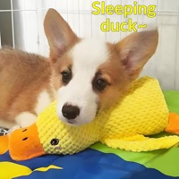Jouet pour chien anti-ennui, brûleur d'énergie, jouet en peluche durable qui couine pour les races moyennes/grandes (Corgis, chiens Teddy) – Garde les animaux compagniens occupés