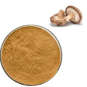 Polissacarídeo Natural Orgânico Melhor Qualidade Micélio Branco Fornecimento Polissacarídeos Extrato De Cogumelo Shiitake