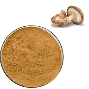 Polysaccharide naturel organique de qualité supérieure Mycélium blanc Polysaccharides d'approvisionnement Extrait de champignon Shiitake