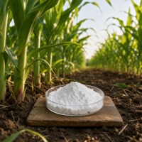 Inhibiteur d'uréase NBPT (CAS 94317-64-3) pour la production et le mélange d'engrais granulaires à base d'urée, pureté 97%