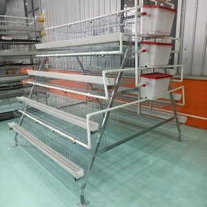 Cages à poulet <span class=keywords><strong>prix</strong></span> usine conception de <span class=keywords><strong>prix</strong></span> de couche d'oeufs galvanisé de haute qualité 96/120/128/160 oiseaux batterie poule poulet cage d'élevage - Product Image 1