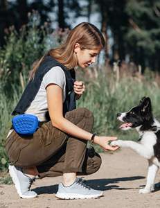 Échantillon gratuit, fabricant de sacs de dressage pour chiens en PET, sac à friandises pour animaux de compagnie, sac à friandises pour chiens, sacs à friandises pour chiens, promenades - Product Image 6