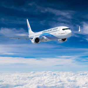 Тарифы на доставку DHL из Шэньчжэня, Китай, в ОАЭ, Мельбурн, Саудовскую Аравию. Дешевая экспресс-доставка DPD, DHL, FedEx по специальной линии. - Product Image 2