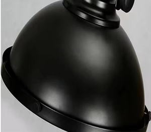 Zeal Lighting Nordic Modern Hot Sale LED E26 Base de bombilla Hierro Negro Single Vintage Lámpara colgante - Product Image 5