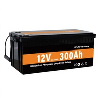 Baterai Lithium LiFePO4 12V300Ah OEM Pabrik untuk Penyimpanan Produk Tenaga Surya Li-ion