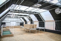 Sainpoly Large Greenhouse Vanilla Single PE Layer avec Blackout Light Privation Feature à vendre
