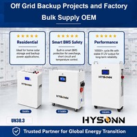Batterie solaire Hysonn pour villas au Moyen-Orient, 51,2 V, murale, stockage LFP pour projets hors réseau et approvisionnement en gros pour usines (OEM)