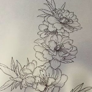 Vellumpapier Tekenpapier Vellen 50g tot 230g Doorschijnend Papier 250 stuks per verpakking - Product Image 3