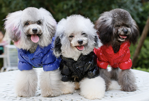 सर्दियों में गर्म और विंडप्रूफ पालतू जैकेट वाटरप्रूफ ऊन के साथ चमकदार फिनिश, क्लासिक ठोस रंग - Product Image 5