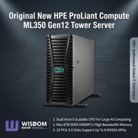 Serveur Tour d'Entreprise HPE ProLiant ML350 Gen12 en Gros d'Usine, Double Socket Intel Xeon, 64 Go DDR5, pour la Virtualisation