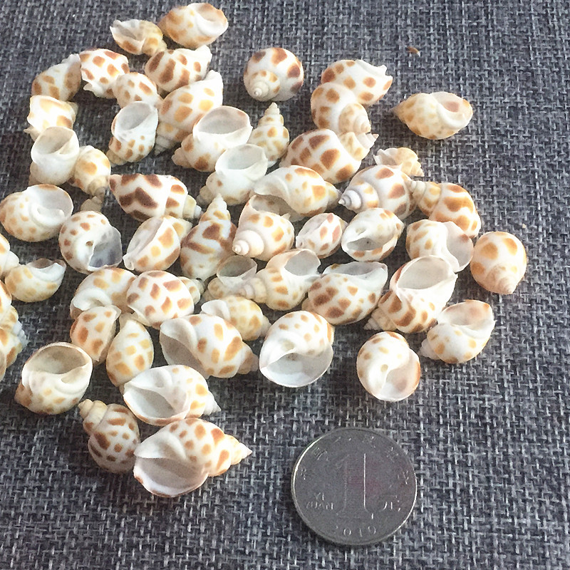 Petits escargots dongfeng 200g-80 pcs
