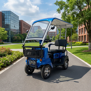 Nouveau modèle 2026 : Voiturette électrique 3 places à 4 roues 800W avec carrosserie ABS – Mini véhicule électrique et scooter de mobilité pour centres de villégiature, parcs et campus - Product Image 1