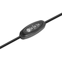 Cable de Extensión USB DC Macho a Hembra, Interruptor de 5V, Ventilador con 3 Niveles de Temperatura Ajustables, Conductor de Cobre, Cable Aislado de PVC de 22AWG, 0.3m