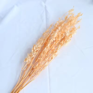 Bestseller Fiori Secchi Naturali Ruscus Erba del <span class=keywords><strong>Sangue</strong></span> <span class=keywords><strong>di</strong></span> Drago Ornamenti Floreali per <span class=keywords><strong>San</strong></span> <span class=keywords><strong>Valentino</strong></span> - Product Image 6
