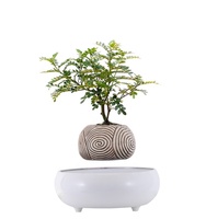 Alta calidad estilo chino clásico inteligente decoración del hogar mejor boda Navidad Acción de Gracias regalos cerámica jardín flor bonsái maceta