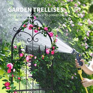 Arche de jardin en fer noir de haute qualité, écologique, pour plantes, treillis, mobilier de jardin, clôture de jardin - Product Image 2