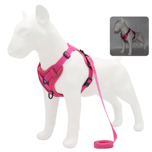 Profession Fabricant Laisse en nylon Ensemble <span class=keywords><strong>de</strong></span> harnais pour animaux <span class=keywords><strong>de</strong></span> compagnie pour <span class=keywords><strong>chien</strong></span> Harnais pour animaux <span class=keywords><strong>de</strong></span> compagnie durables réfléchissants - Product Image 1