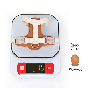 Nouveautés <span class=keywords><strong>Harnais</strong></span> de poitrine confortable <span class=keywords><strong>anti</strong></span>-dérapant pour petit <span class=keywords><strong>chien</strong></span> et chat Corde de <span class=keywords><strong>traction</strong></span> Collier pour animal de compagnie <span class=keywords><strong>Harnais</strong></span> pour petit <span class=keywords><strong>chien</strong></span> - Product Image 3