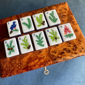 <span class=keywords><strong>Juego</strong></span> de Mahjong Americano de Lujo, 160 Fichas, Acrílico de 4 Capas, <span class=keywords><strong>Juego</strong></span> Infantil para Interiores, para Fiestas <span class=keywords><strong>y</strong></span> Entretenimiento - Product Image 3