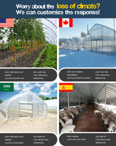 温室用金属フレーム野菜栽培用ポータブル農業用農業用グリーンハウスフルセット - Product Image 3