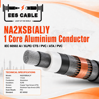 Câble d'alimentation moyenne tension NA2XSB(AL)Y 1 conducteur en aluminium, isolation XLPE, gaine en PVC, blindage en bande d'aluminium, norme IEC 60502