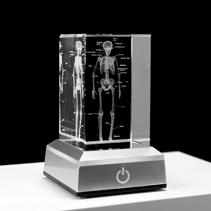 3D Crystal Glass Human Anatomy Study Cube - Laser Engraving