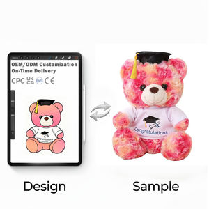 カスタムロゴ入りカラーぬいぐるみ テディベア Tシャツ付き 卒業記念テディベア - Product Image 1