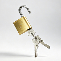 Cadenas de casier de gym en laiton robuste à roulement à billes, avec 3 clés en laiton, pour armoire de rangement scolaire, salle de sport, boîte à outils, porte, portail