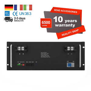 Perawatan Umur Panjang Gratis Pengiriman 48V 50ah 100ah Rak Peladen Baterai Lifepo4 - Product Image 1