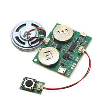 Module de son enregistrable Puce sonore programmable pour carte de voeux Carte vocale de charge USB pour jouets Cadeaux créatifs