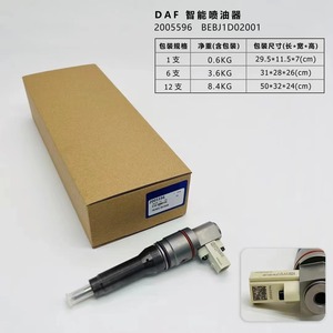 Injecteur de carburant de haute qualité 2005596 BEBJ1D02001 2047600 BEBJ1D04001 2047601 BEBJ1D05001 injecteur à rampe commune pour <span class=keywords><strong>DAF</strong></span> - Product Image 2