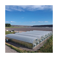 Grote Hydrocultuur Kas Apparatuur Voor Het Kweken Van Groenten Polycarbonaat Cover Sheet Voor Buitenshuis Gebruik