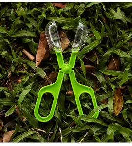 Ciseaux éducatifs pour enfants, piège à insectes et outil de ramassage de coquillages pour animaux rampants - Product Image 6