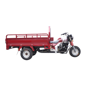 Triciclo Motorizzato SHULONG per Adulti/Anziani, Scooter <span class=keywords><strong>a</strong></span> Tre <span class=keywords><strong>Ruote</strong></span> per Disabili, con Carrozzeria Chiusa per Trasporto Merci, Monoposto - Product Image 3