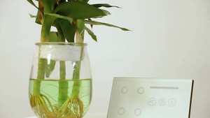 Tuya Wifi + BLE minuterie de plafond contrôle de vitesse mur verre APP ventilateur télécommande interrupteur pour lumière et ventilateur Alexa <span class=keywords><strong>Google</strong></span> Smart <span class=keywords><strong>Home</strong></span> - Product Image 2