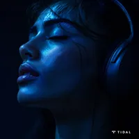 Compte Premium Tidal Music 12 mois |   Abonnement Tidal HiFi Plus