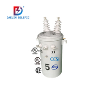 Transformateur de distribution de puissance immergé dans l'huile, type abaisseur de tension, 1 phase, 6,3 kV, 7,2 kV, 100, 197, 200, 250 kVA - Prix