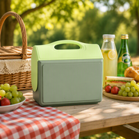 Glacière portable 15L pour boissons, avec poignée, en plastique, multifonction, idéale pour pique-nique, camping, champagne - Vente en gros
