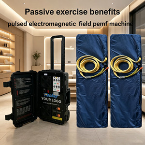 Máquina de Terapia Magnética Humana y Equina de Doble Control ODM, Estimula los Músculos, Mejora la Vitalidad, Reduce el Dolor, Máquina PEMF para Salón - Product Image 1