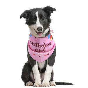 Manufacturer's New Summer Cotton Pet Accessory Triangle Scarf <b>for</b> Dogs and <b>Cats</b> Birthday Drool Towel with Neck Cover - Product Image 2