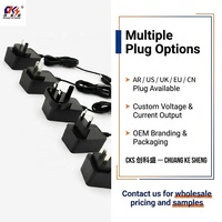 Adaptateur d'alimentation haute performance 5V0.5A 500mA 2.5W avec prise argentine, alimentation 3V 6V 9V 12V 15V 24V1A 1.5A 2A 3A, adaptateur d'alimentation à découpage