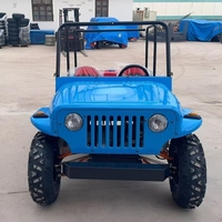 Voitures électriques mini jeep pour adultes et enfants, moteur 350cc 300cc 200cc, homologuées pour la route, mini jeep buggy 4x4, 2/4 places, essence