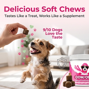 Golosinas Naturales para Perros con Etiqueta Privada OEM para la Picazón y la Inmunidad, Suplemento para Alergias, Masticables Blandos que Refuerzan la Salud del Sistema Inmunitario con Probióticos - Product Image 2