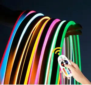 Halloween series rgb rgbw neon lights remote control custom 12v 24v neon signs led strip for party supplies