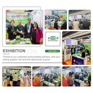 Filet d'ombrage <span class=keywords><strong>Shadow</strong></span> 90% en tissu HDPE, filet d'ombrage solaire, filet d'ombrage agricole pour serre - Product Image 5